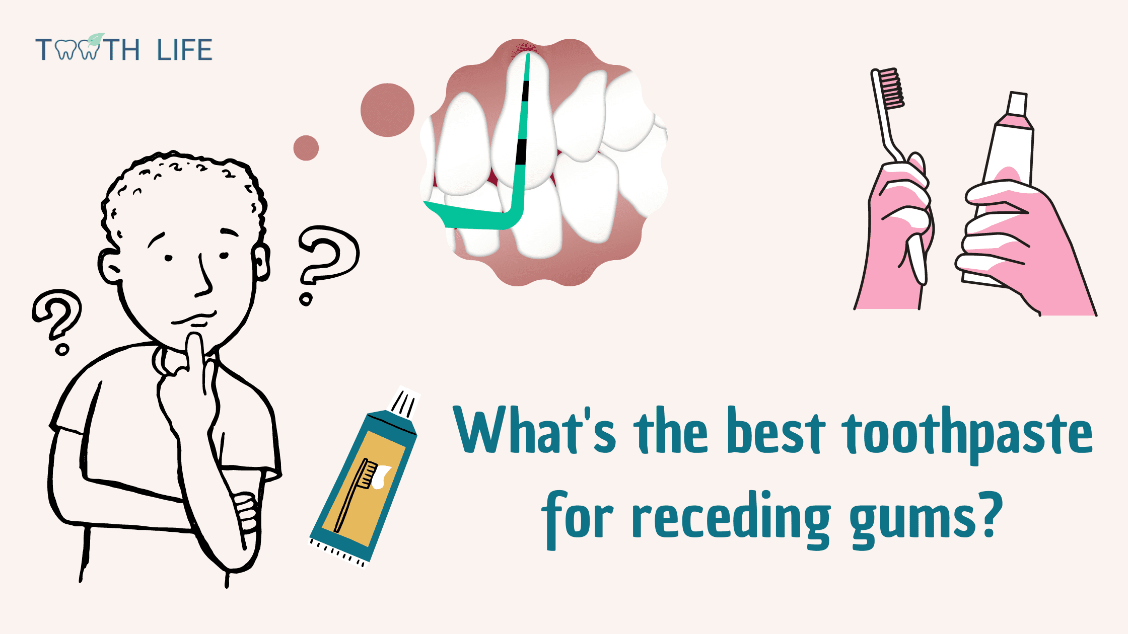 Best toothpastes for receding gums