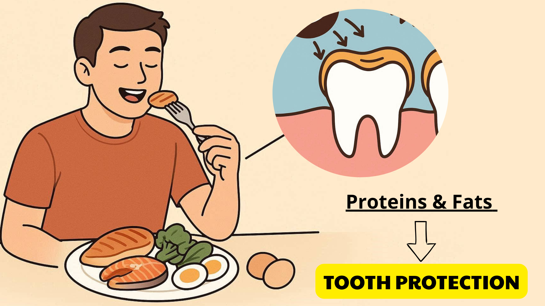 the protective effects of proteins and fats on teeth