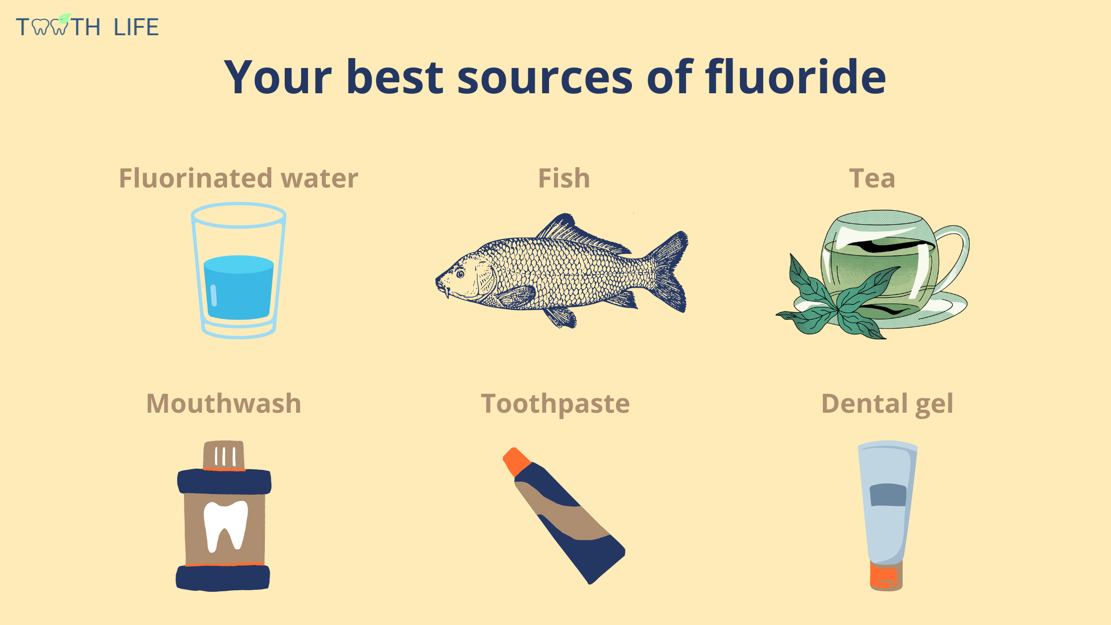 the different sources of fluoride