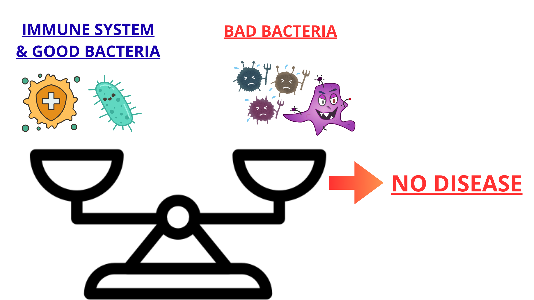 Healthy balance between oral bacteria and immune system