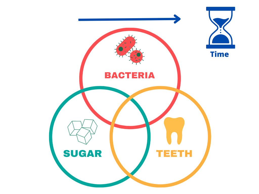 Keyes' diagram showing that tooth decay results from the interaction of 3 factors: Sugar, teeth and bacteria