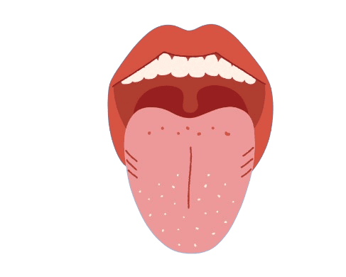 Mouth conditions and disorders
