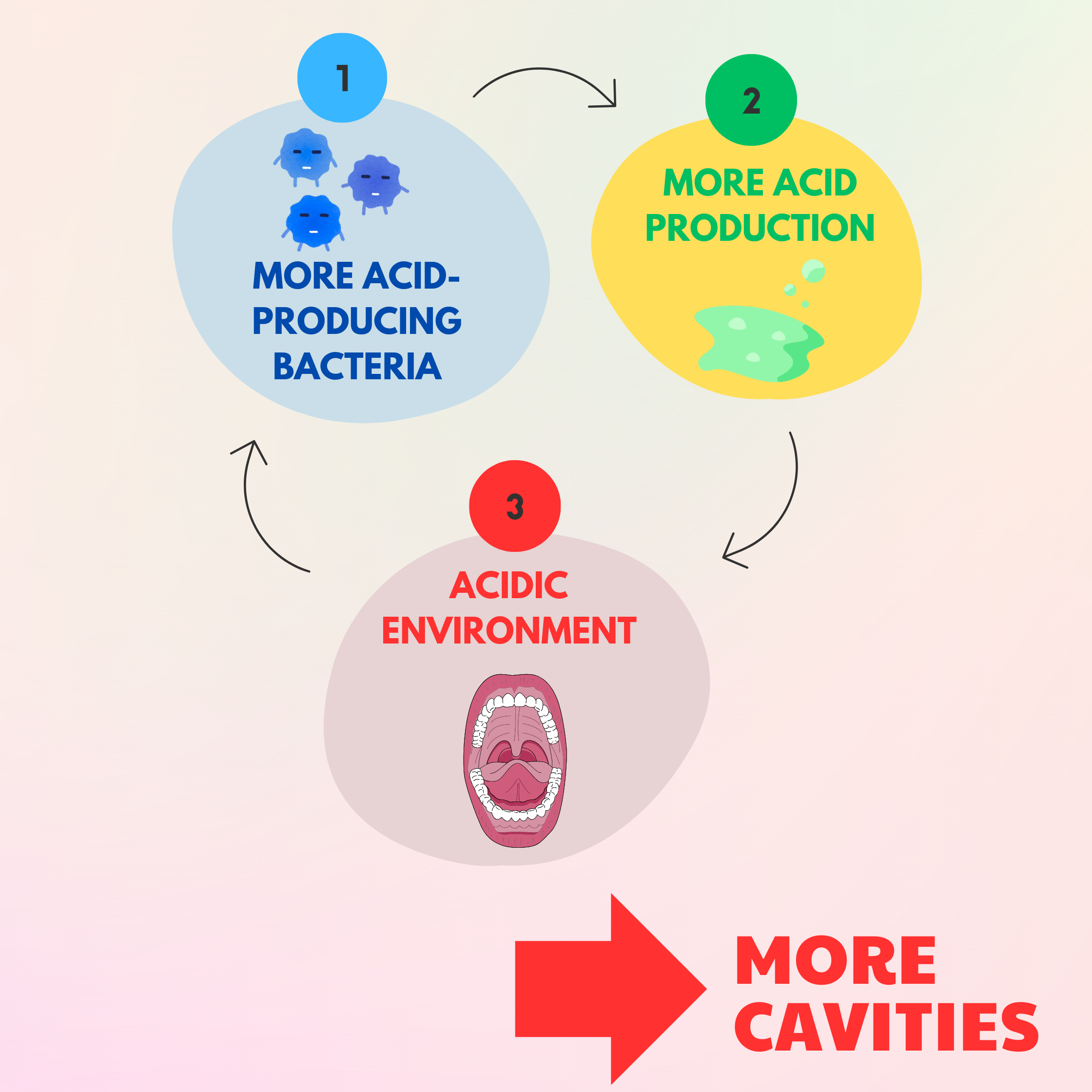 vicious cycle of harmful bacteria buildup and more cavities
