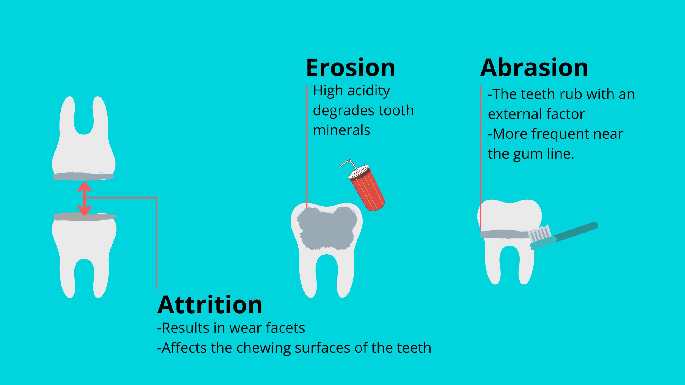 the different forms of tooth wear